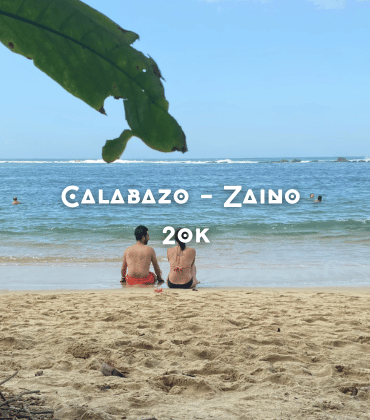 zai1